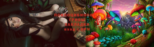 наркотики Магас